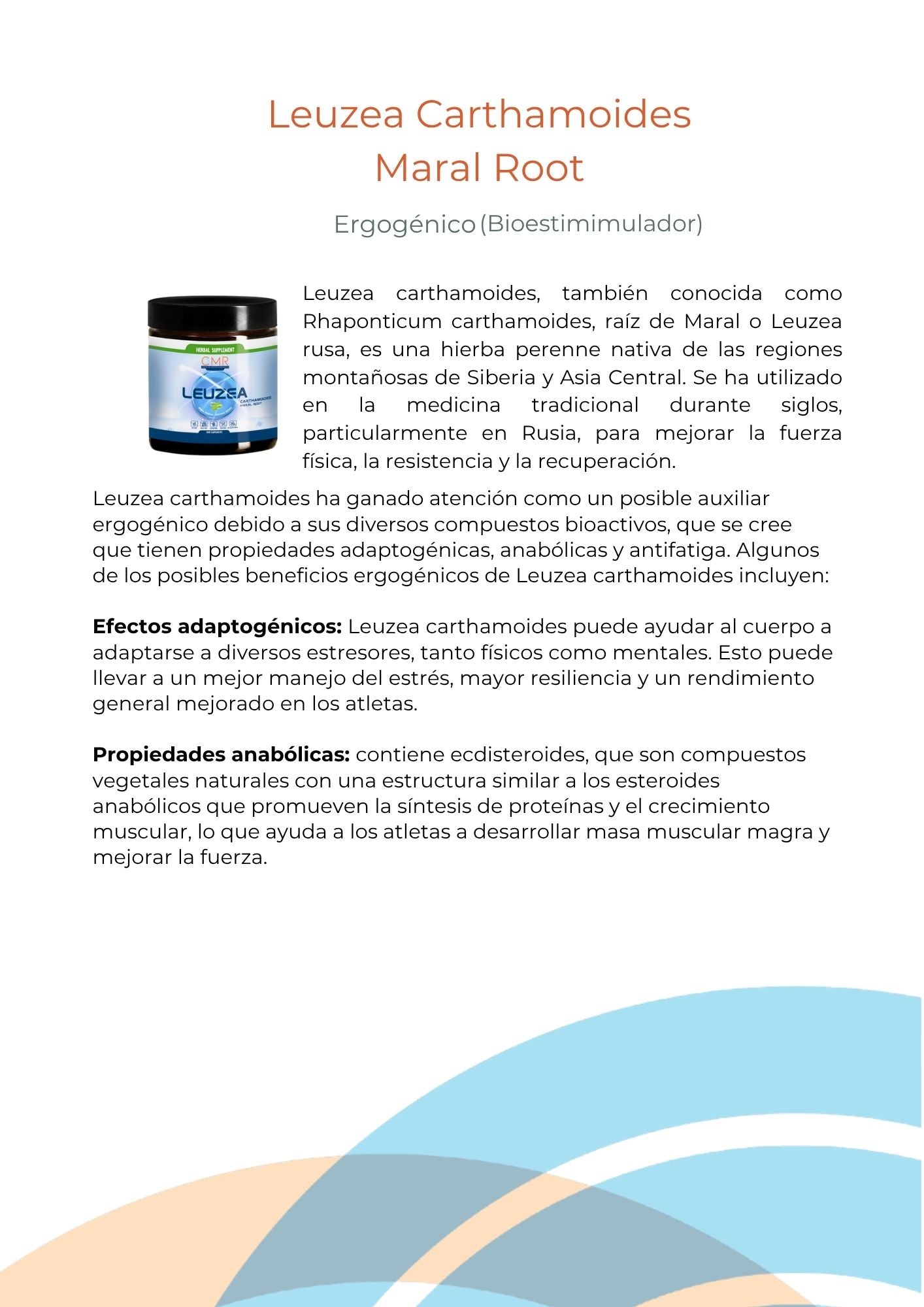 Leuzea Carthamoides