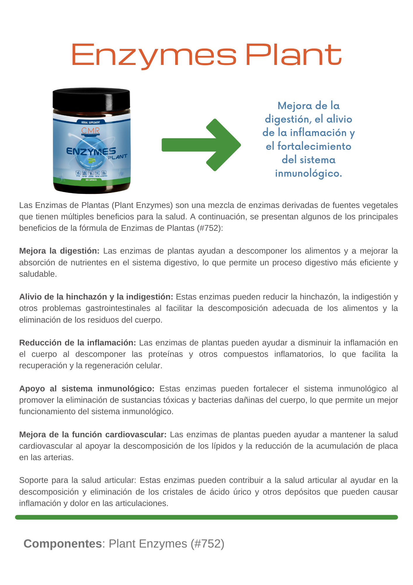 Enzymes Plant