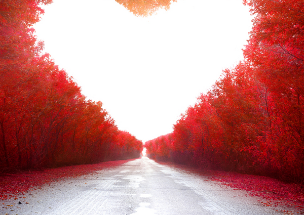 El Amor en movimiento: Cómo el ejercicio fortalece las relaciones y el bienestar personal.