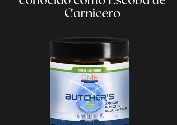 Butcher’s Broom: La Escoba de Carnicero y Sus Beneficios para la Salud