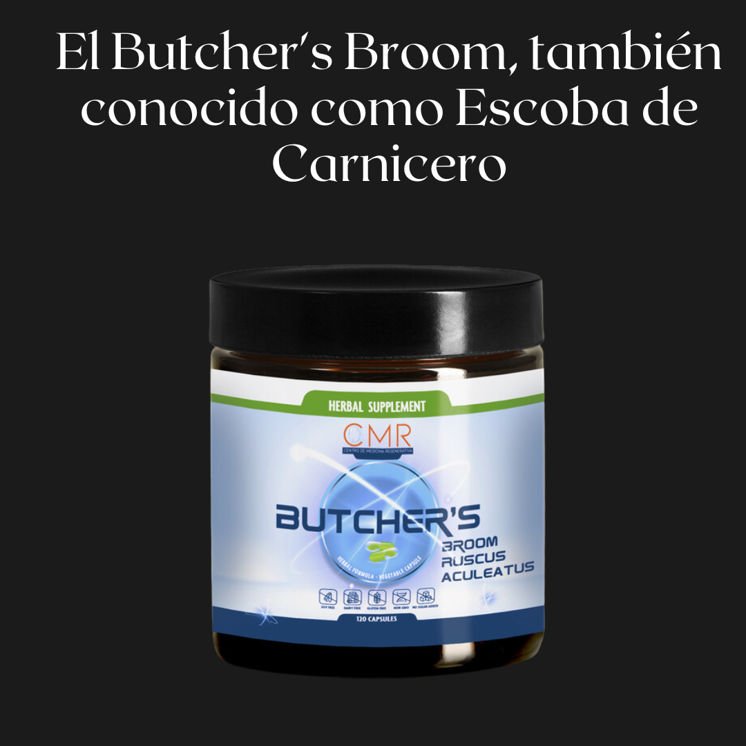 Butcher’s Broom: La Escoba de Carnicero y Sus Beneficios para la Salud