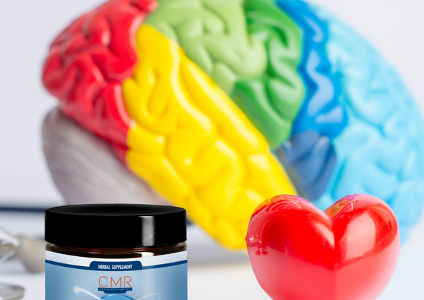 Deterioro Cognitivo: Un Desafío del Envejecimiento y la Solución Natural con Brain Plus