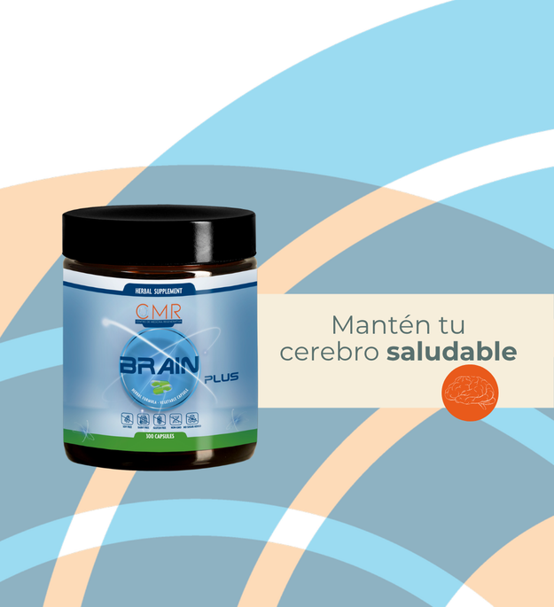 Brain Plus