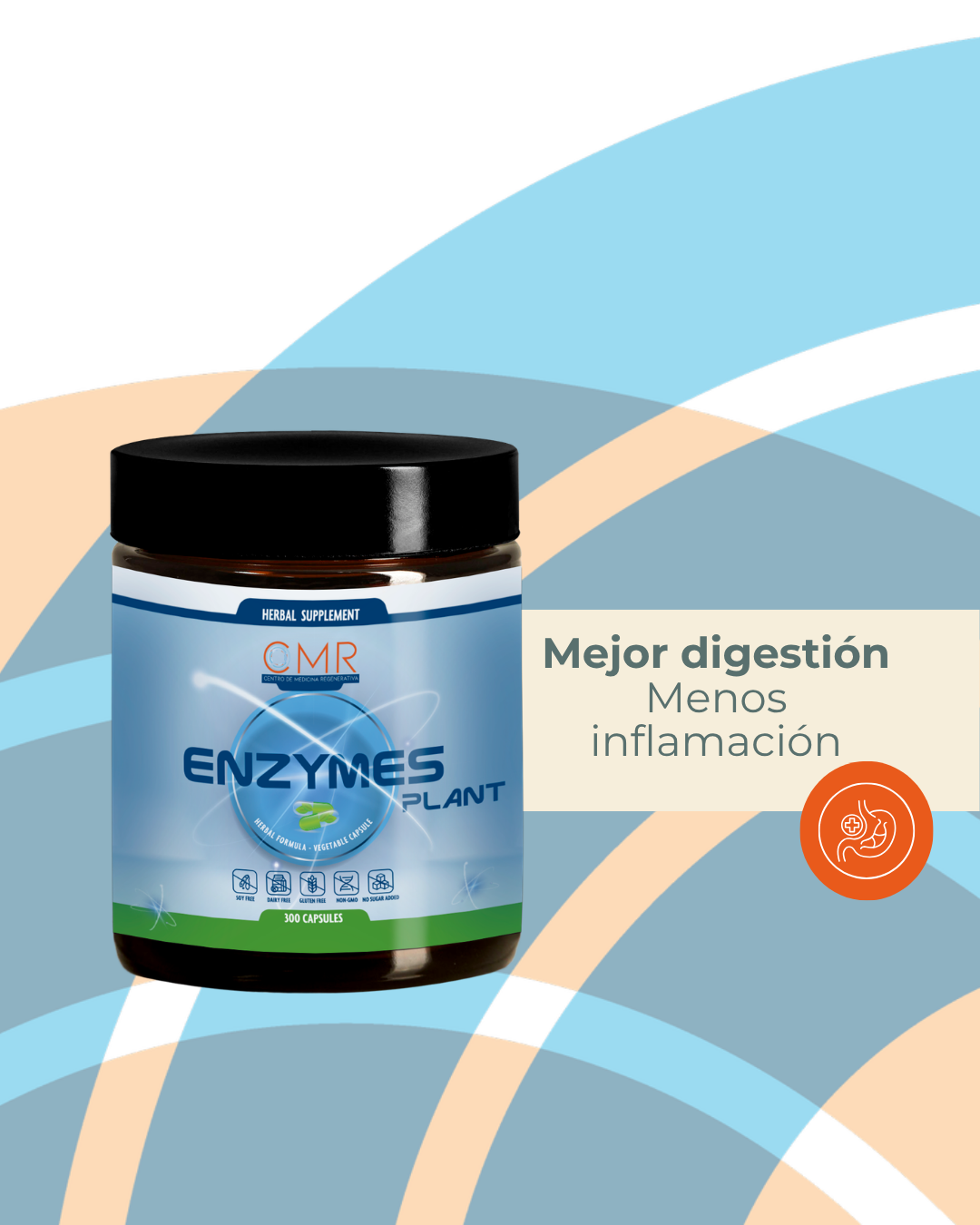 Enzymes Plant