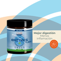 Enzymes Plant