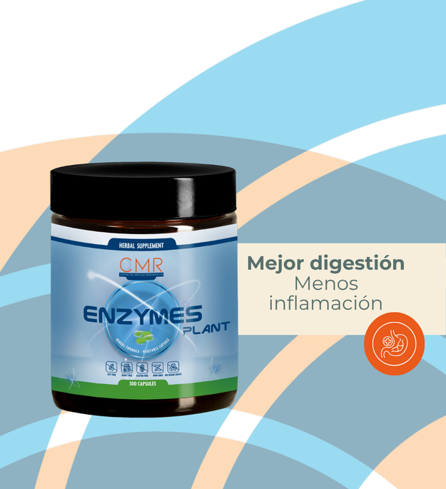 Enzymes Plant