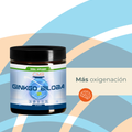 Ginkgo Biloba