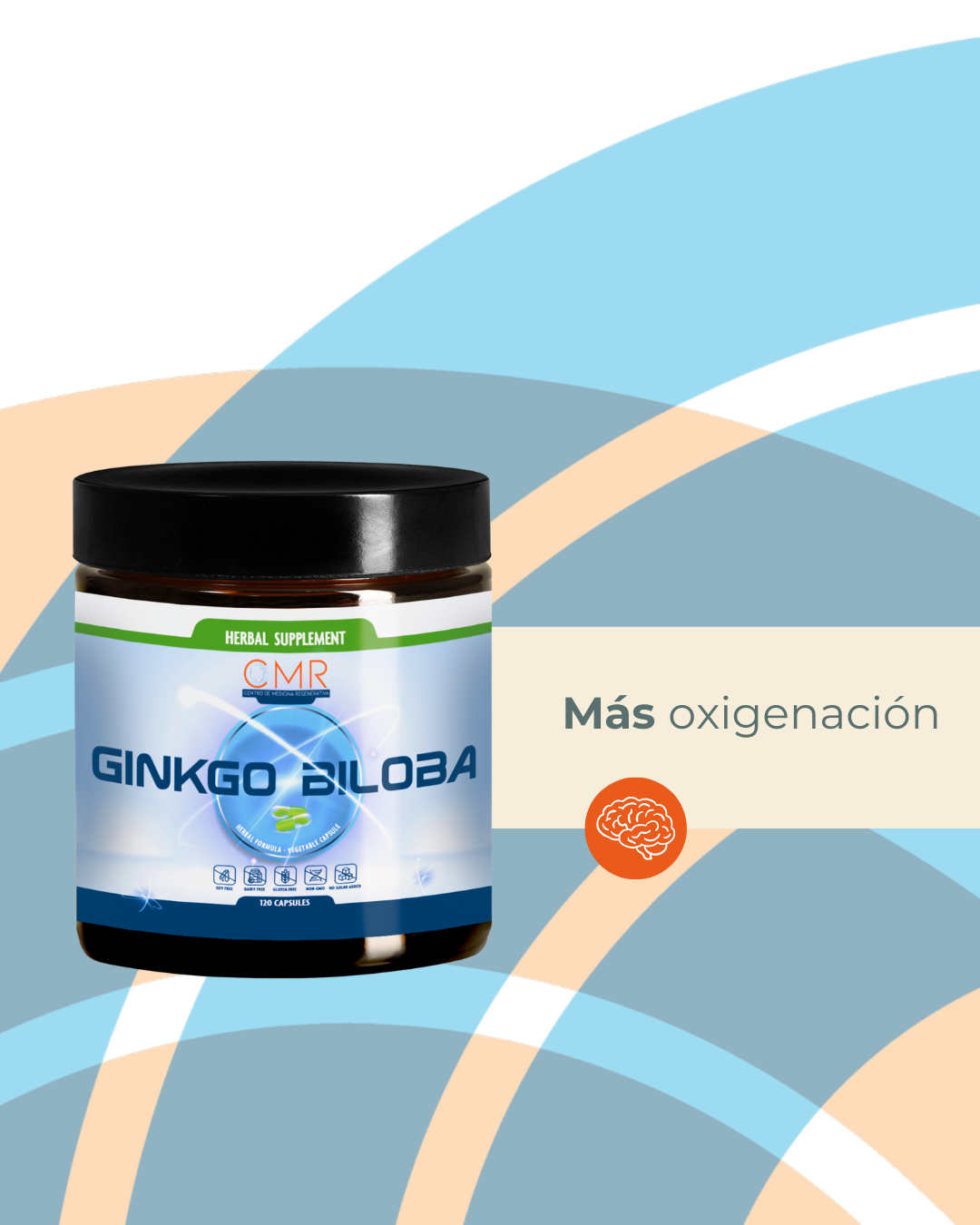 Ginkgo Biloba