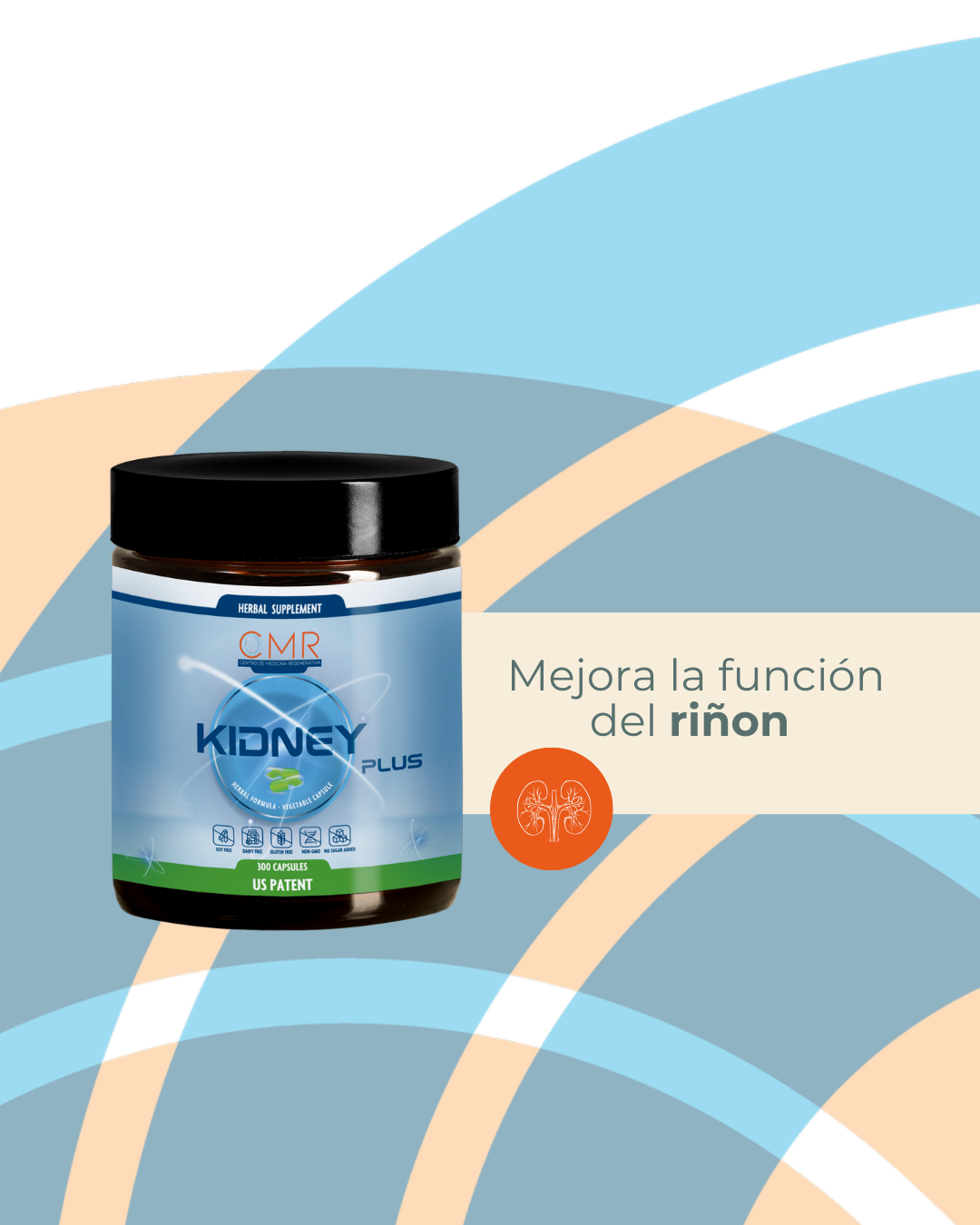 Kidney+