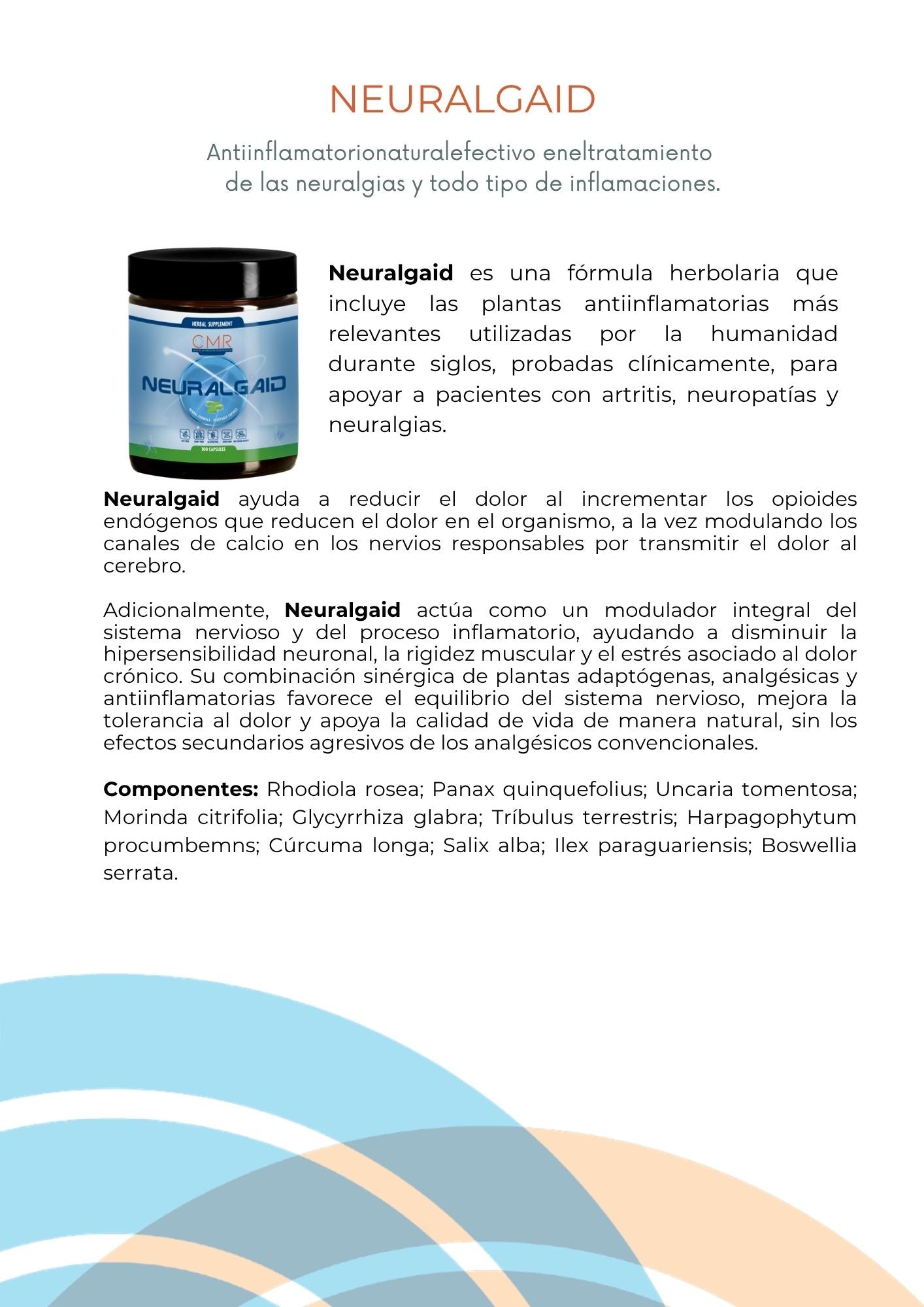 Neuralgaid
