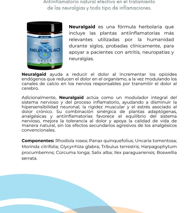 Neuralgaid