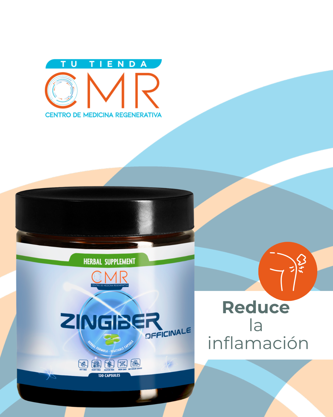 Zingiber officinalis