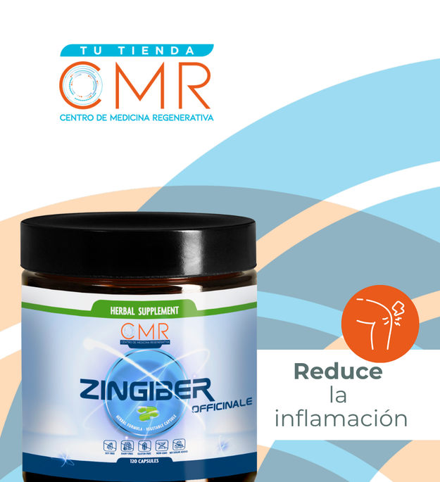 Zingiber officinalis