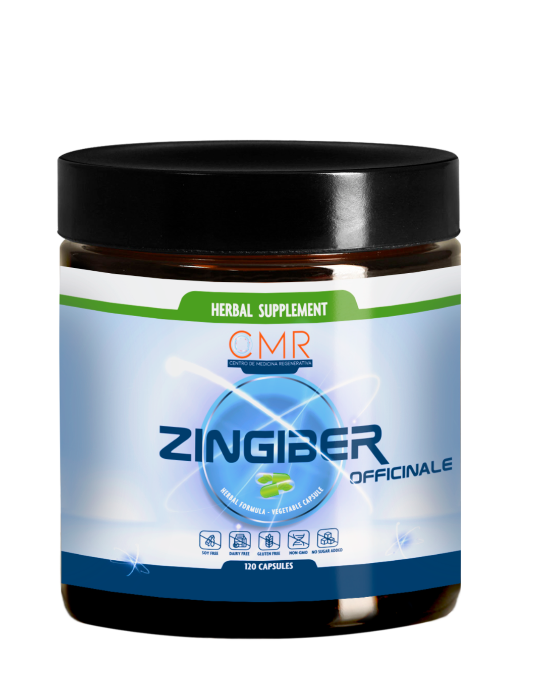 Zingiber officinale