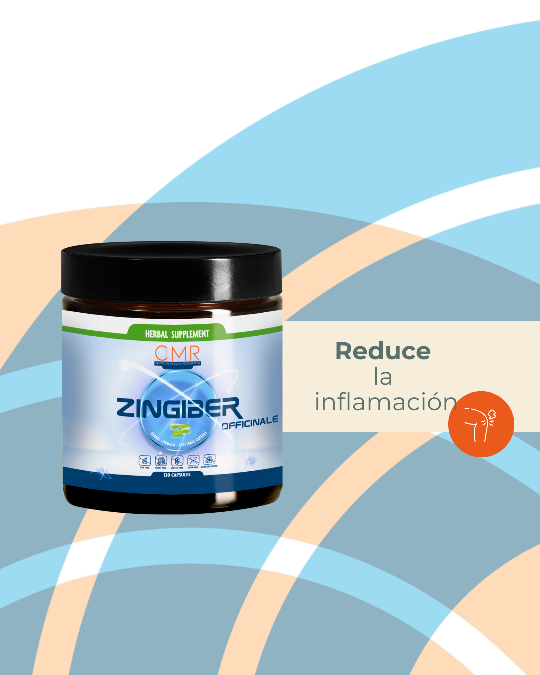 Zingiber officinalis