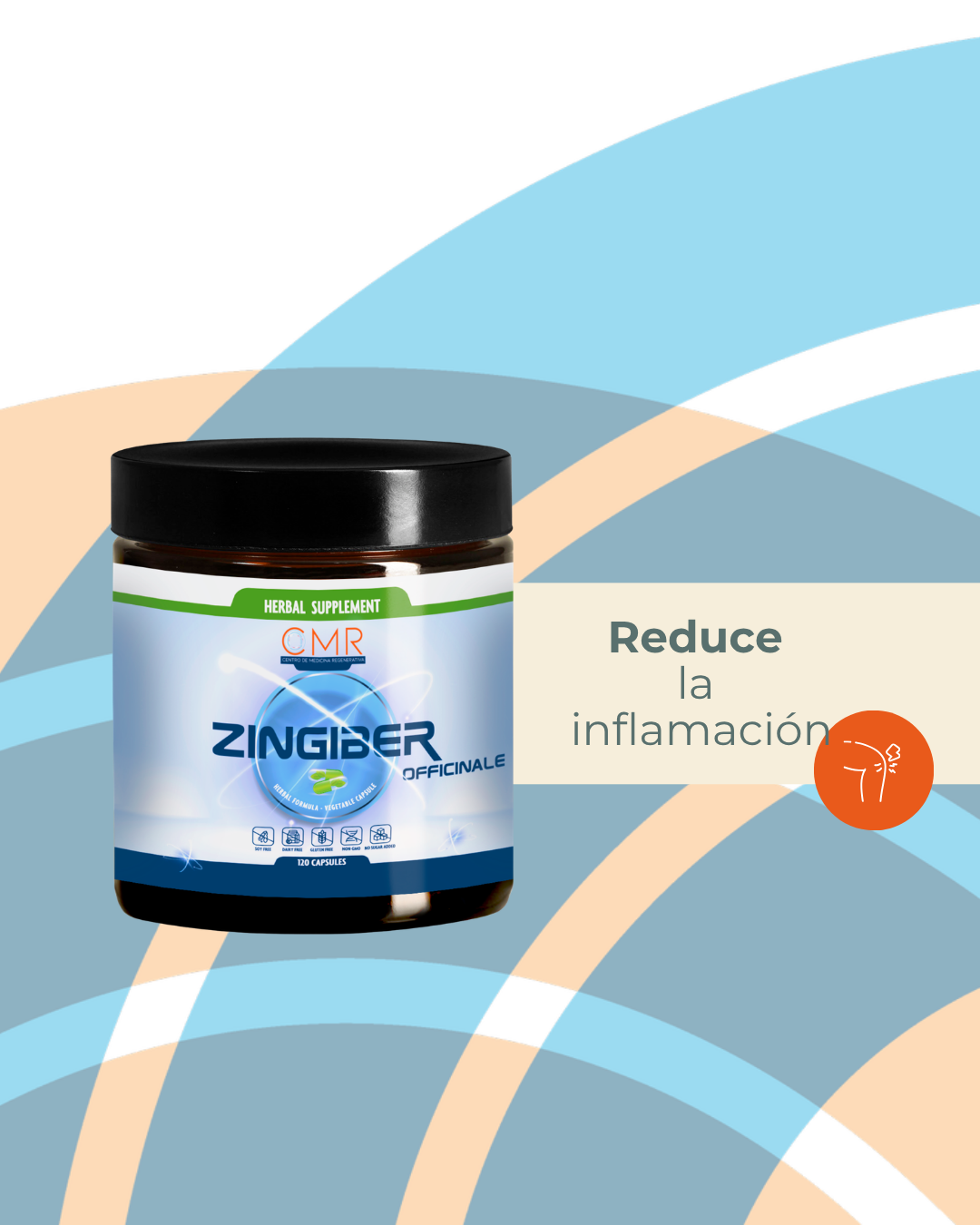 Zingiber officinalis