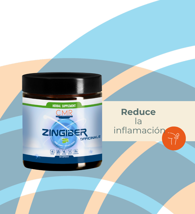 Zingiber officinalis
