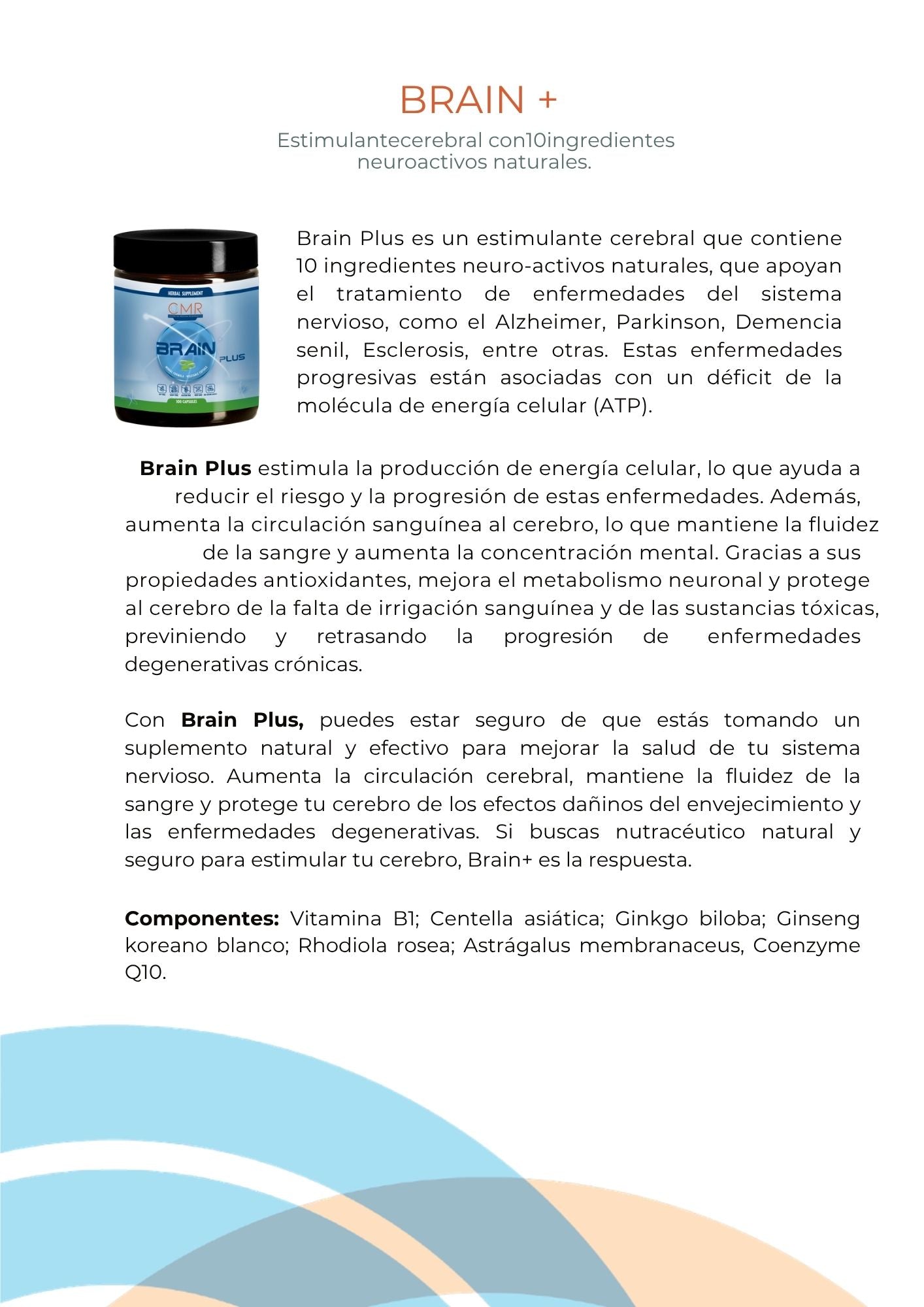 Brain Plus