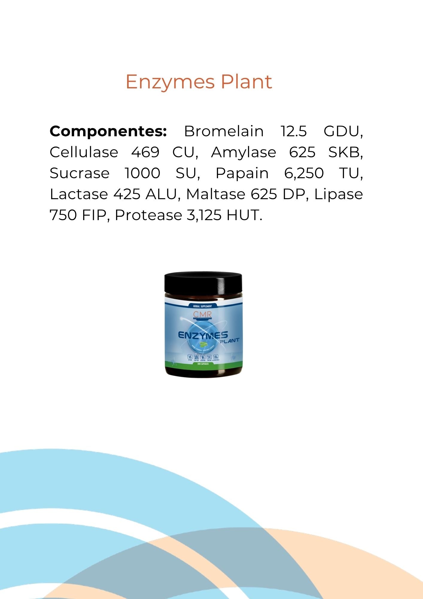 Enzymes Plant