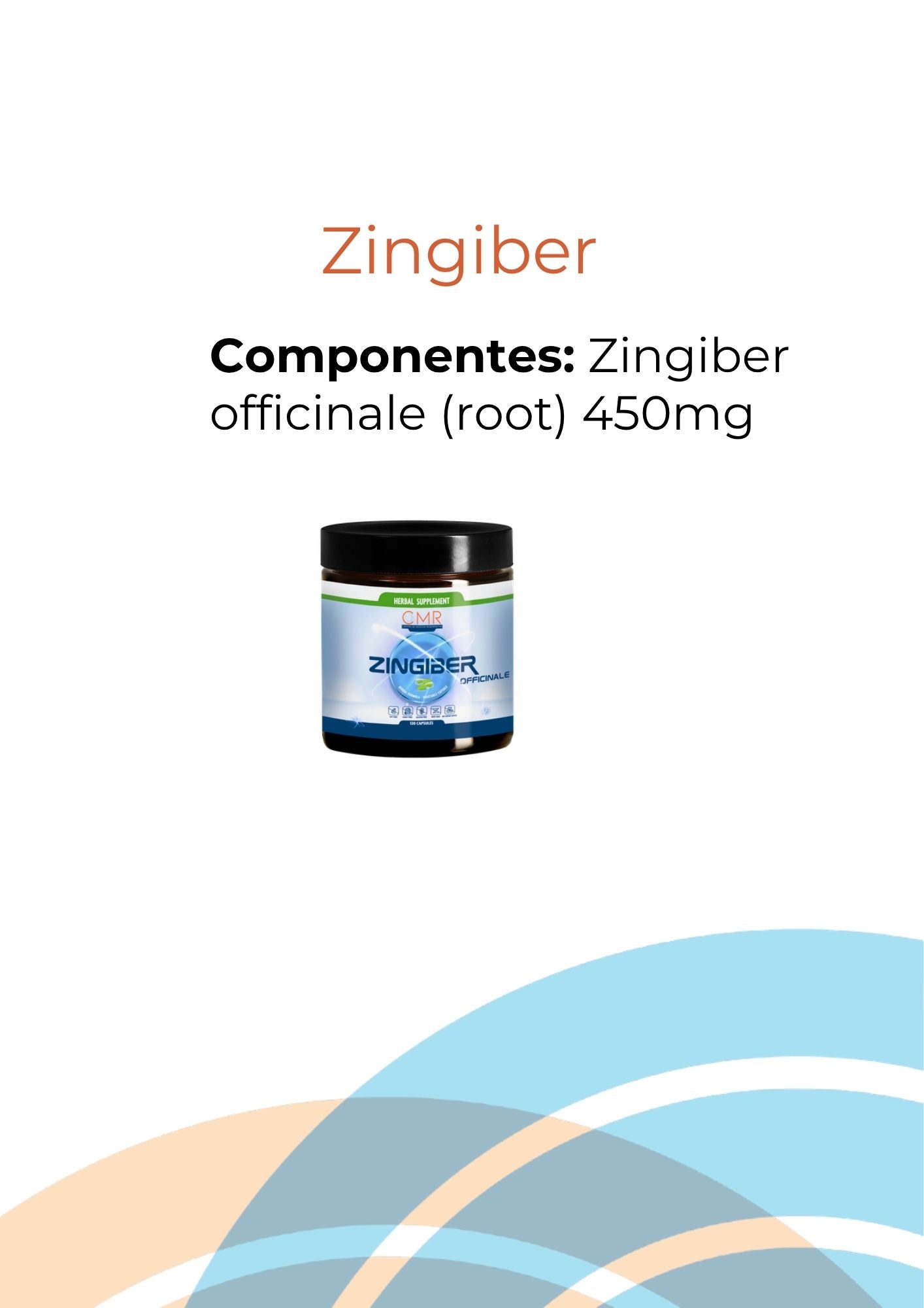 Zingiber officinalis