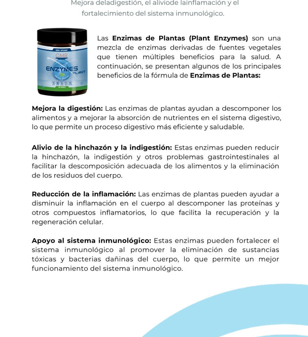 Enzymes Plant