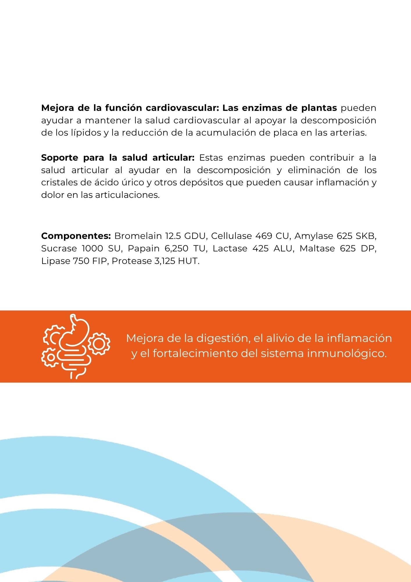 Enzymes Plant