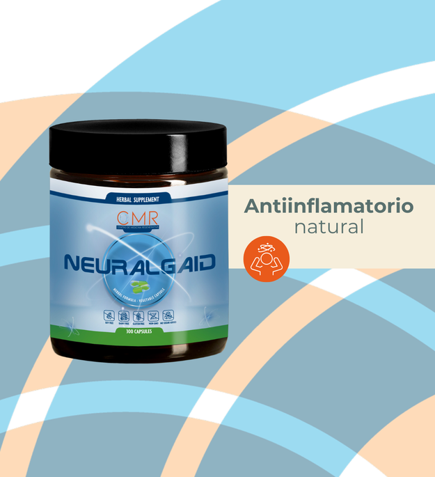 Neuralgaid